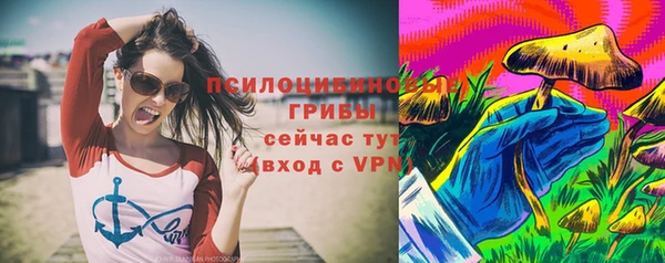 apvp Алзамай