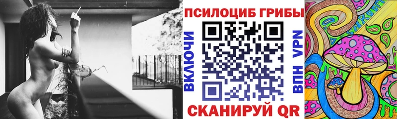 цена   Ставрополь  Галлюциногенные грибы мицелий 