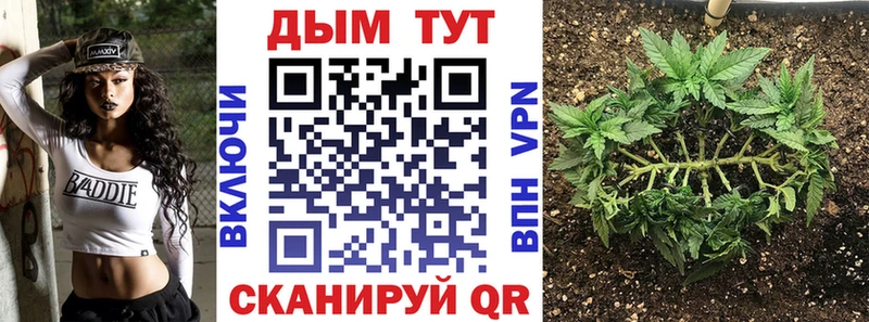 Бошки Шишки AK-47 Ставрополь